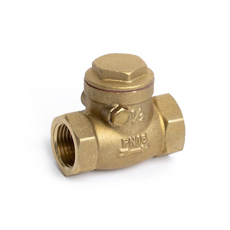 Brass Bsp Swing Check Valve Capital Valves Ltd