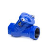 Ci Bsp Ball Check Valve Capital Valves Ltd