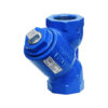 Strainers Capital Valves Ltd