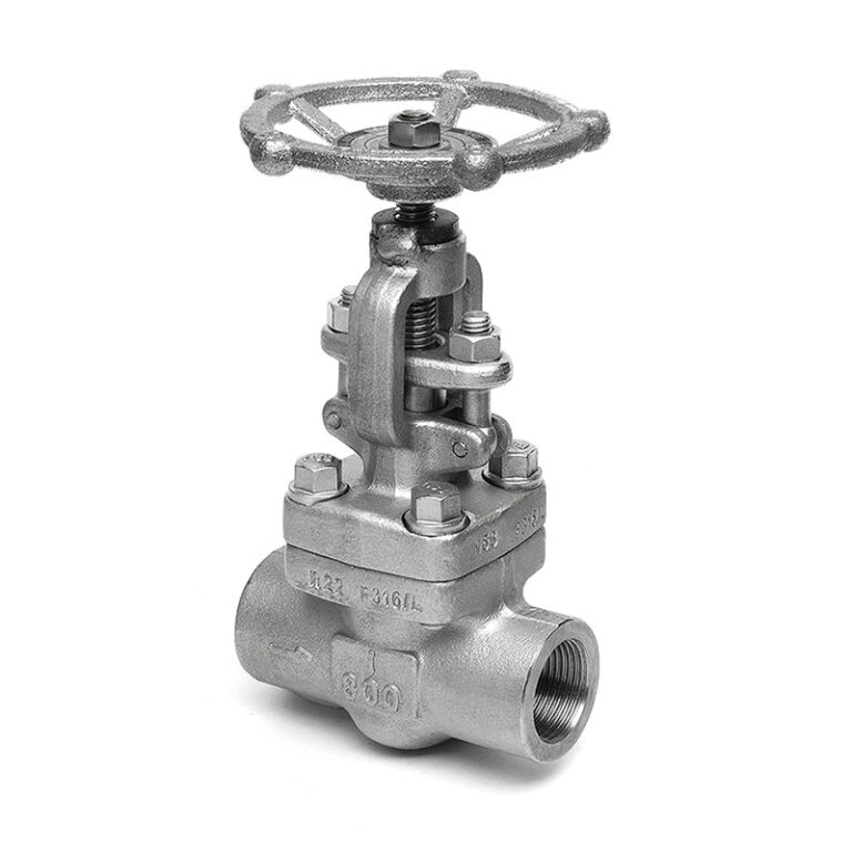 SS316 Class 800 NPT/SW Gate Valve – Capital Valves Ltd