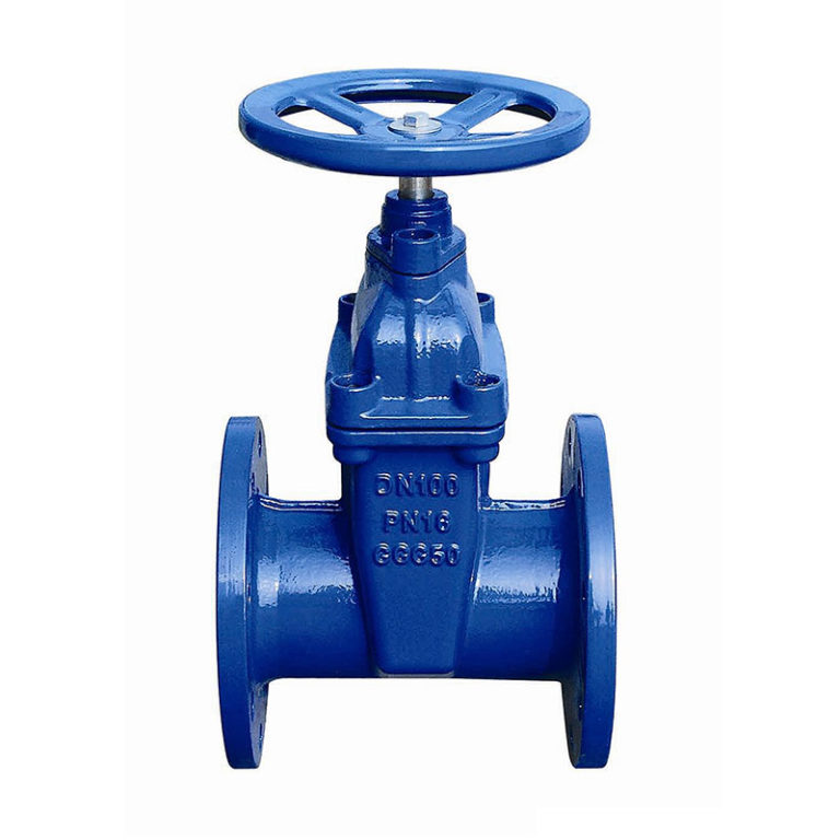 ci-sluice-valve-t-e-capital-valves-ltd